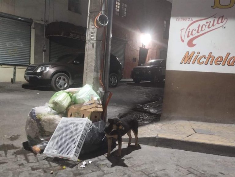 Llaman a no tirar basura en Concha del Oro