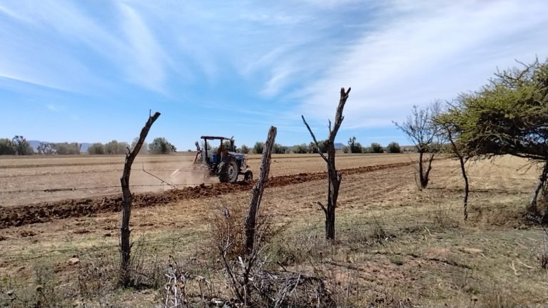 Nada qué festejar, reclaman campesinos