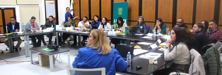 Perfilan apertura de primera maestría en Utzac