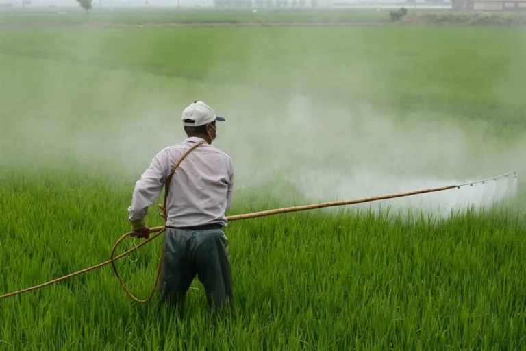 Glifosato solo beneficia a grandes productores: académico