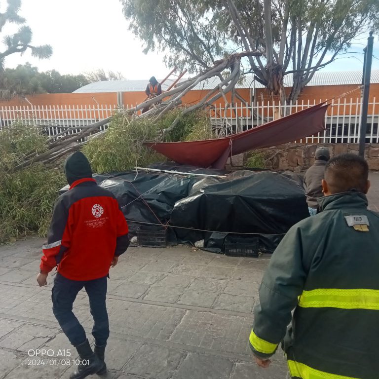Prevén fuertes rachas de viento en Jerez