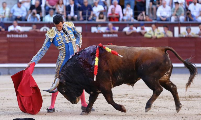 Román, oreja y cornada en la Corrida de la Juventud