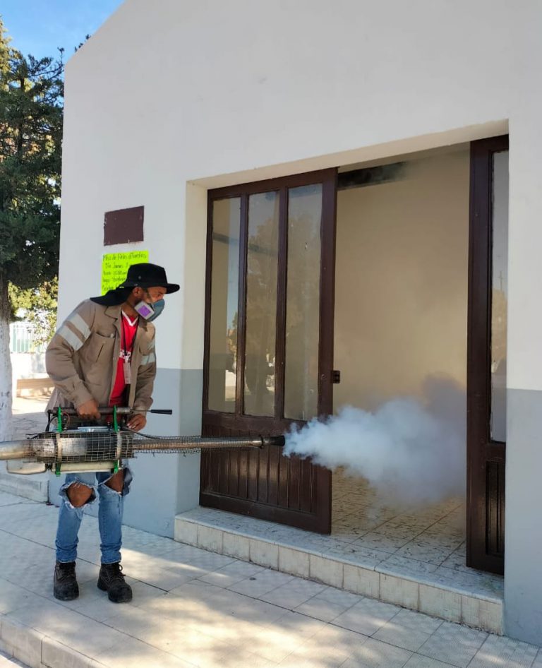 Se registran 7 picaduras de alacrán al día