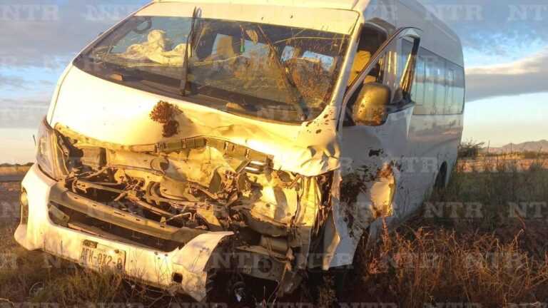 Camioneta impacta contra semovientes en carretera de Fresnillo