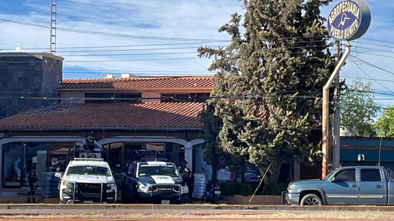 Exigen mayor seguridad en comercios