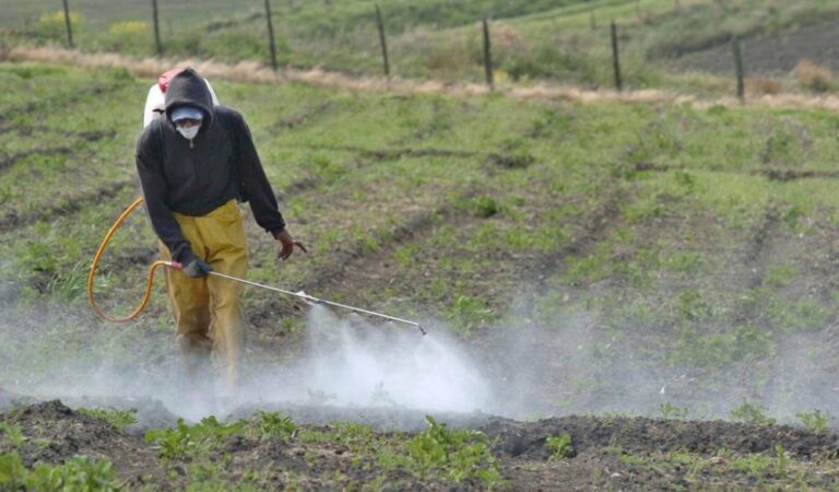Prohíbe Sader 35 plaguicidas peligrosos, entre ellos el DDT