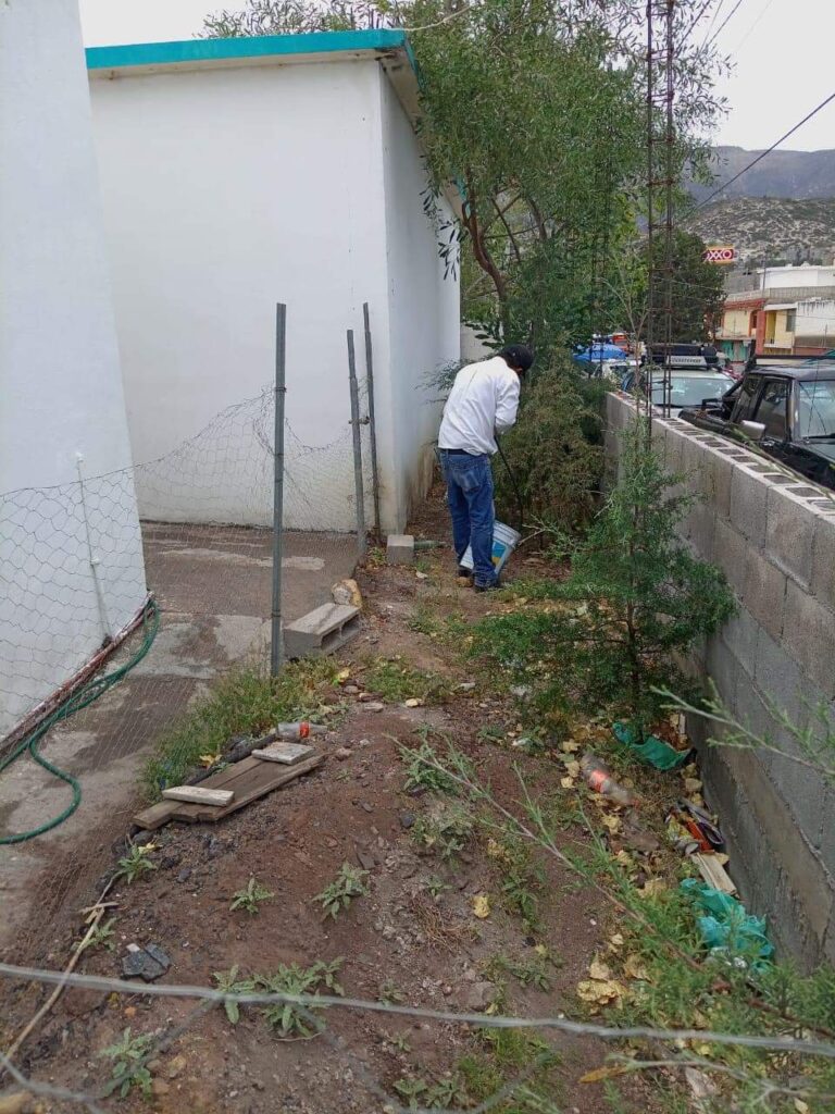 Plaga de garrapatas invade primaria en Concha del Oro