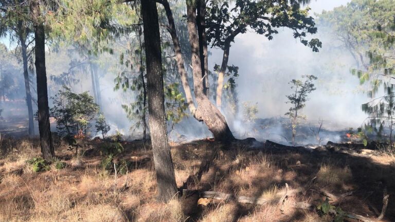Hacen recomendaciones para prevenir incendios