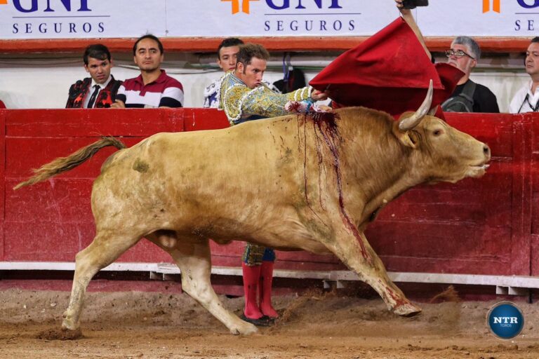 Juan Ortega, más allá de la clase