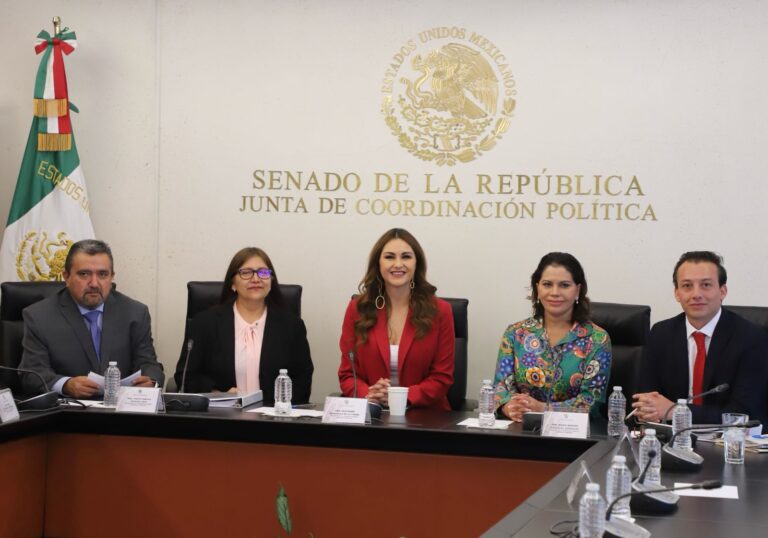 Sin rezago en la Comisión de Minería: Geovanna Bañuelos