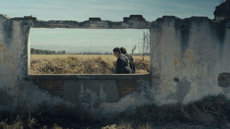 Descubre las cintas de estreno en la Cineteca