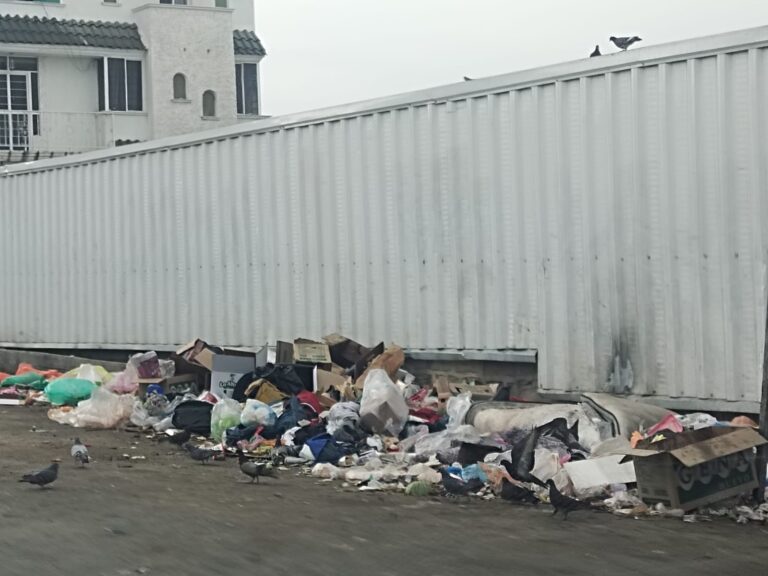 Proliferan focos de infección en Mercado de Abastos