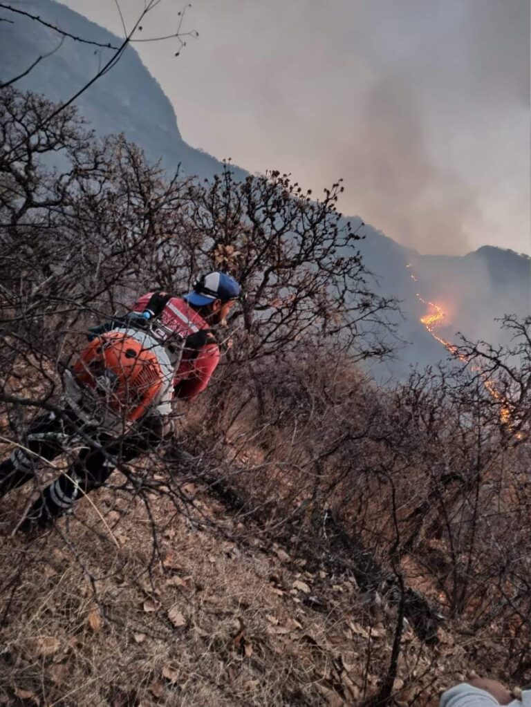 Afecta incendio mil hectáreas en Teúl