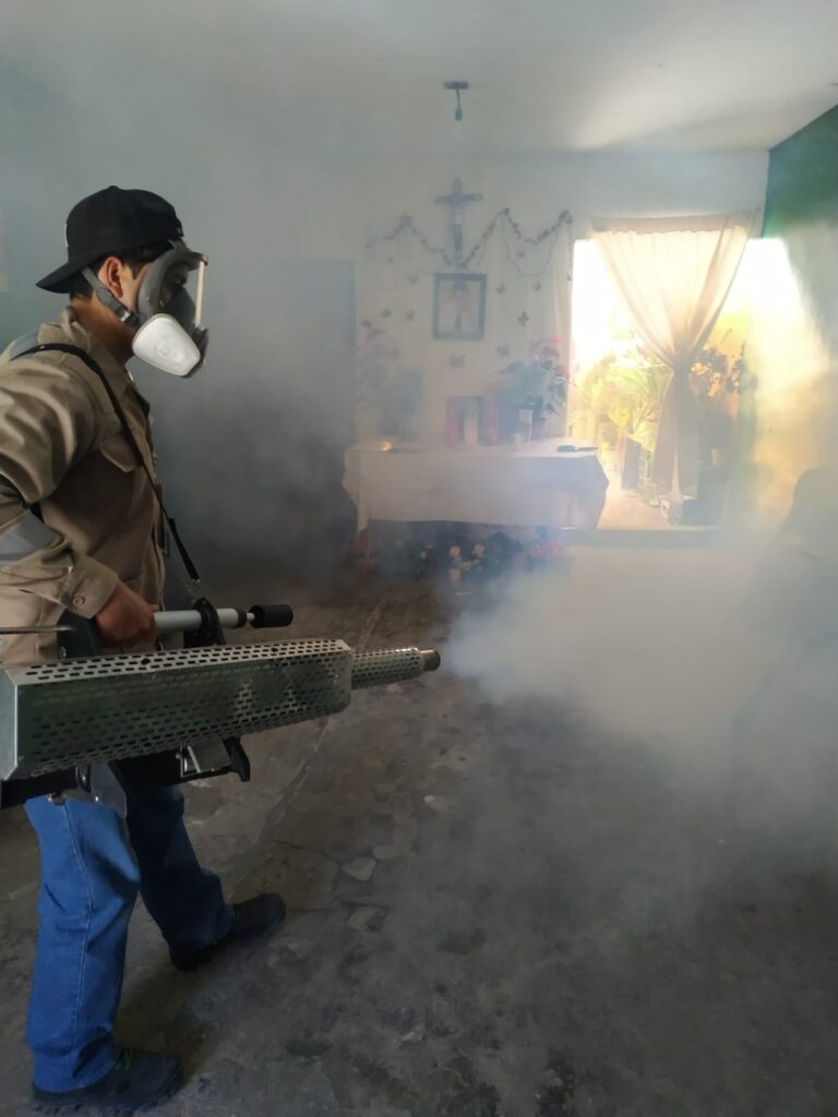 Alta, presencia de mosquito del dengue