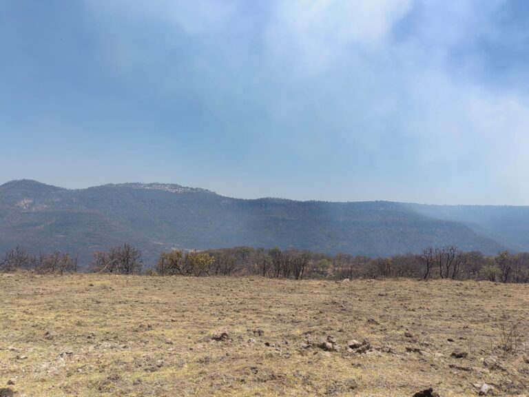 Avanza extinción de incendios forestales en cuatro municipios