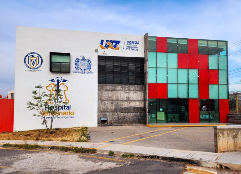 Convocan a participar en concurso de diseño de mural