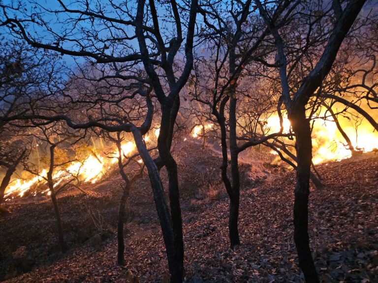 Activos, tres incendios: CEPC