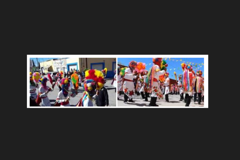 Declaran patrimonio a la Danza de la Palma de Pluma
