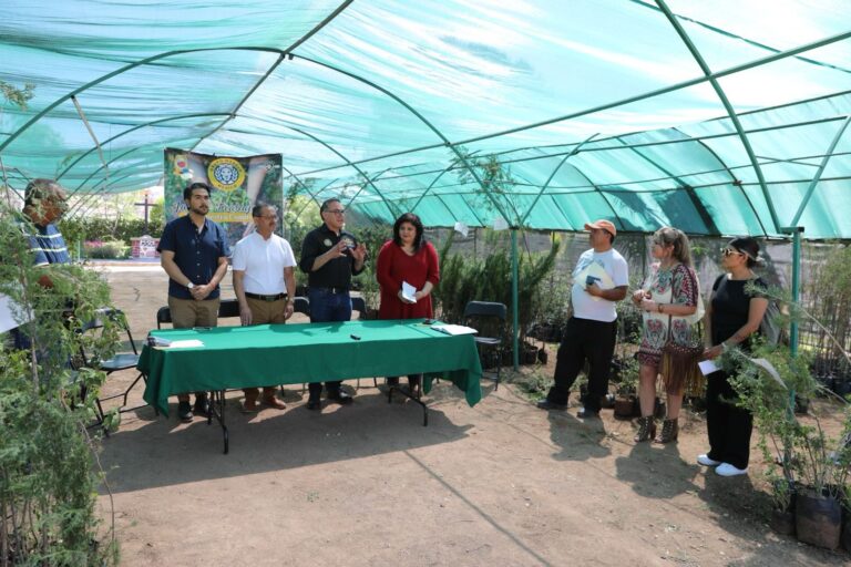 Estudiantes de 15 escuelas plantarán 500 árboles