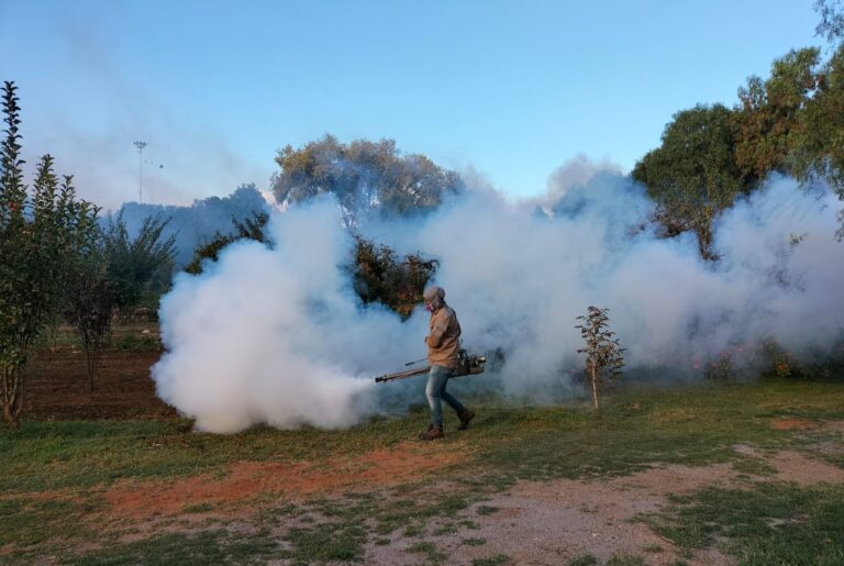 Exhorta SSZ a descacharrizar para prevenir el Dengue
