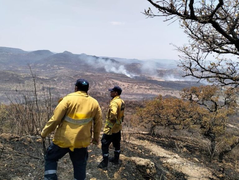 Extintos, incendios en Teúl y Monte Escobedo