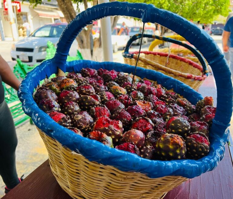 Inauguran Pabellón de la Pitaya