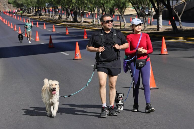 Invitan a participar en Domingos Familiares por la Paz