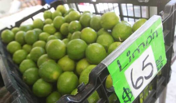 Presenta Profeco denuncia ante PRG por excesivo precio del limón