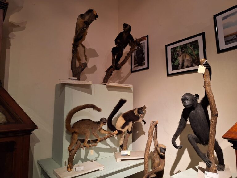 Realizan recorridos nocturnos en tres museos capitalinos