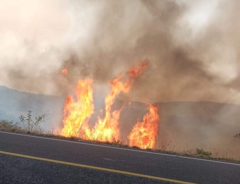 Registran gran incendio en Teúl de González Ortega