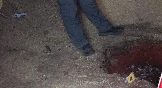 Localiza FGJE dos inhumaciones irregulares en Sauceda de la Borda