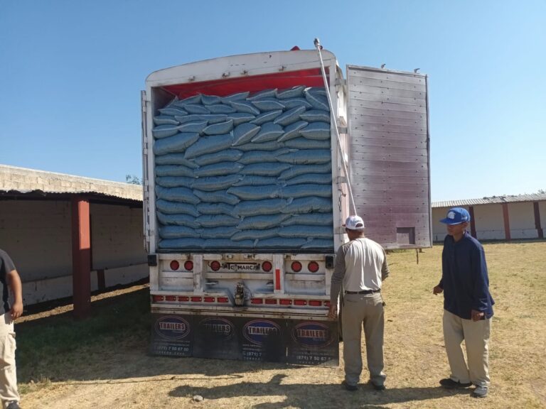 Inicia entrega de semilla certificada de frijol en Río Grande