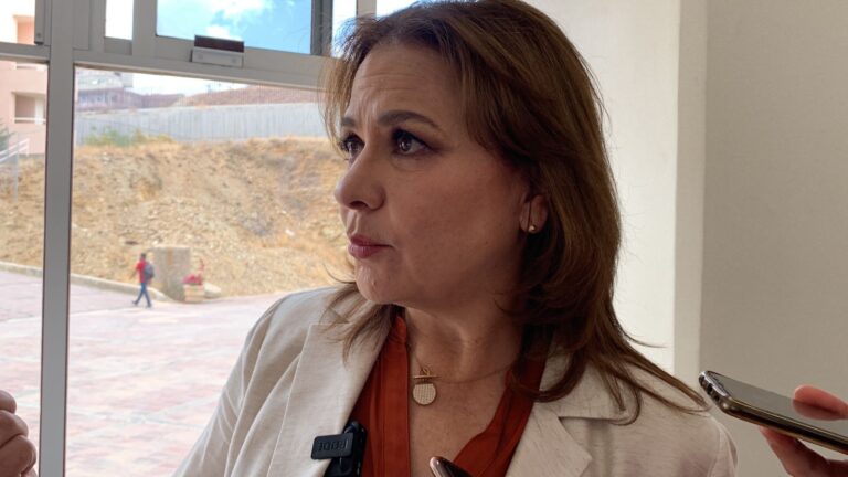 Inai, abierto a reforma: Del Río