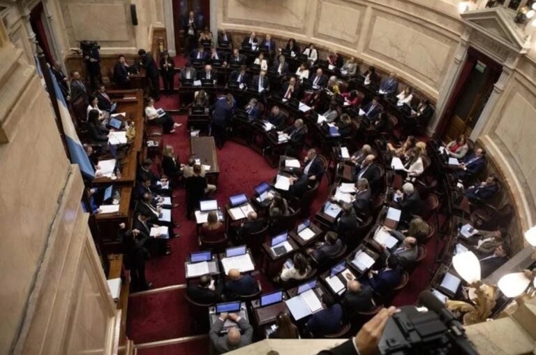 Aprueban, en lo general, Ley de Bases de Milei