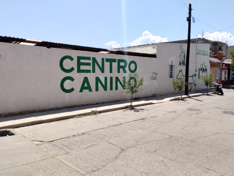 Ineficiente e inhumano, Centro Canino de Calera