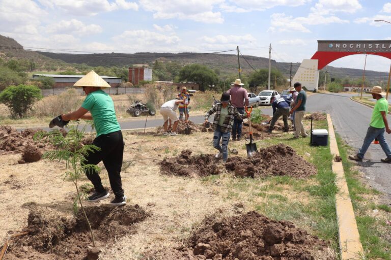 Organiza banda de música reforestación en Nochistlán