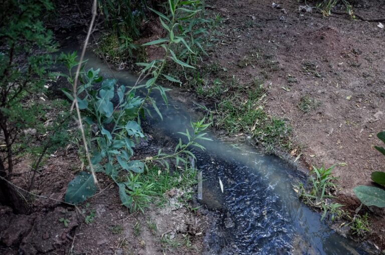 Piden colonos ayuda por contaminación