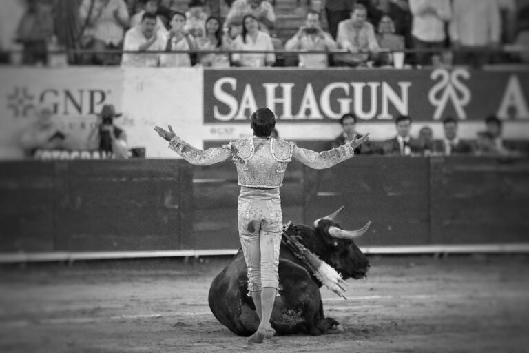 Actuará Bruno en el prestigioso ciclo de Arganda del Rey