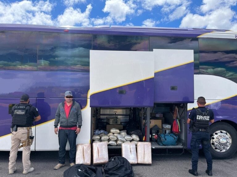Detienen a uno y aseguran 55 kilogramos de marihuana en Villa de Cos