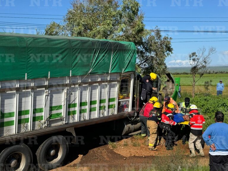 Choca camión contra señalética; hay un herido