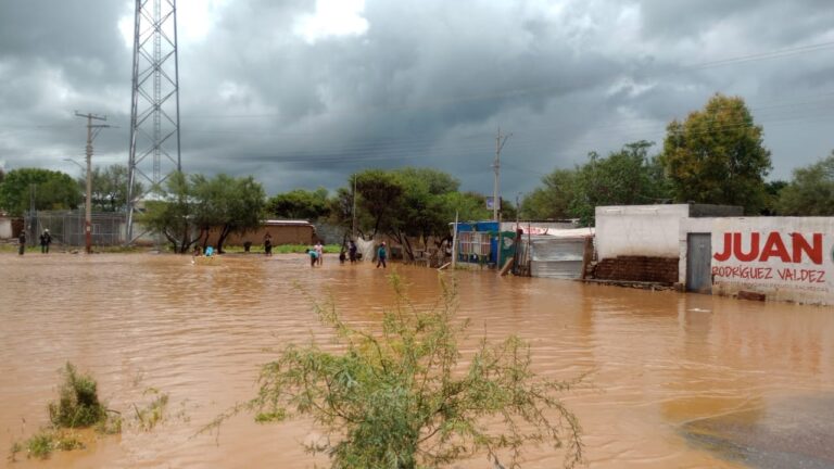 Dejan lluvias múltiples daños