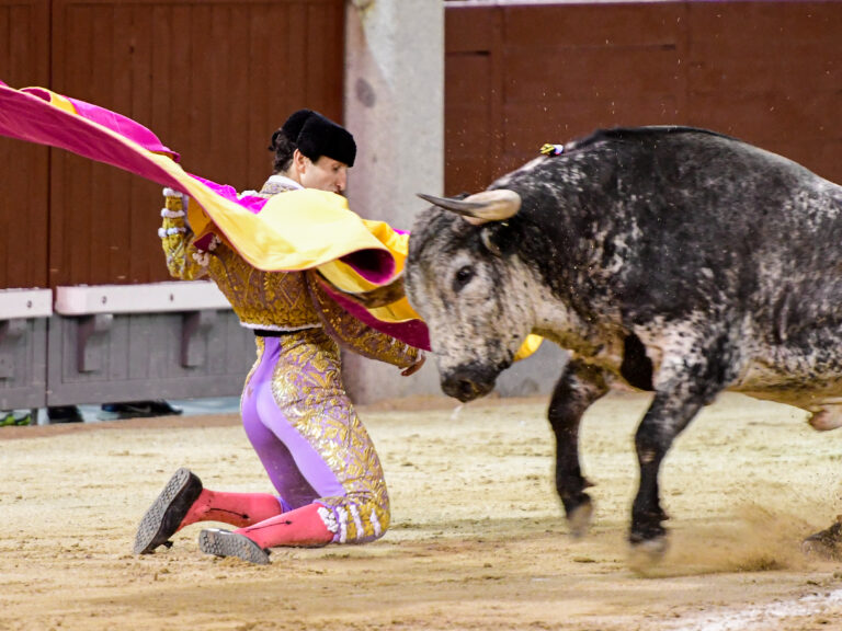 Destaca Valentín en la tercera nocturna