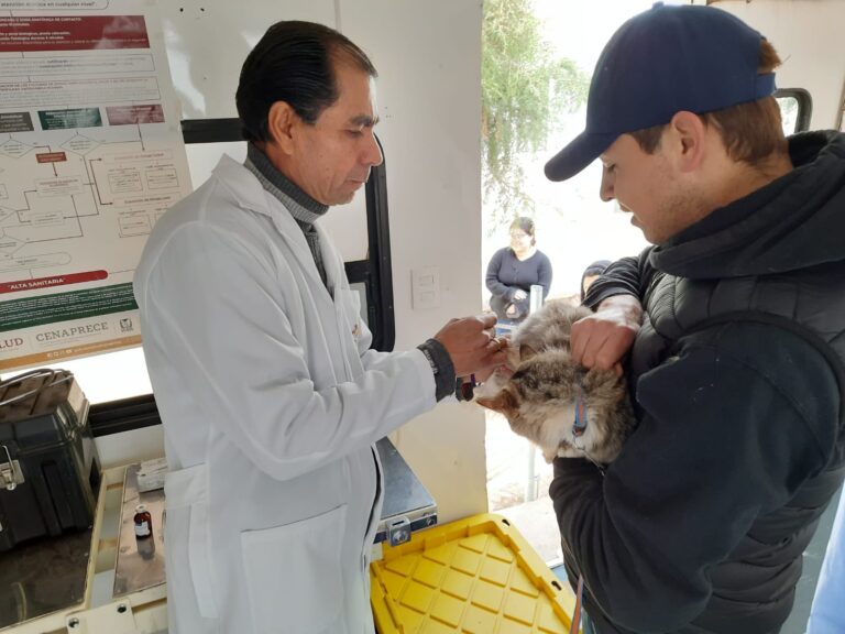 Realizarán jornadas de esterilización en municipios