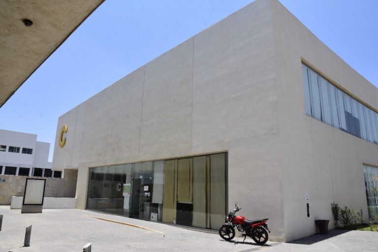 Recaudación de rentas dará servicio en vacaciones