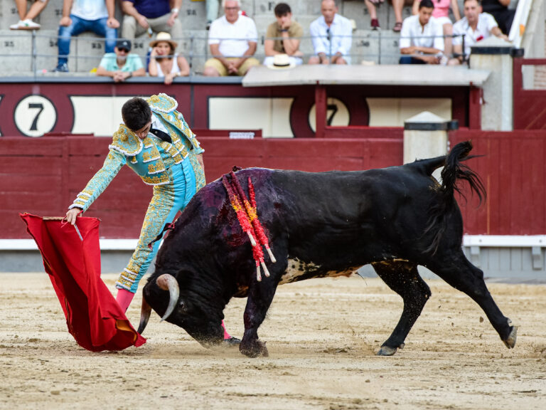 Jesús de la Calzada, lo más destacado en Las Ventas