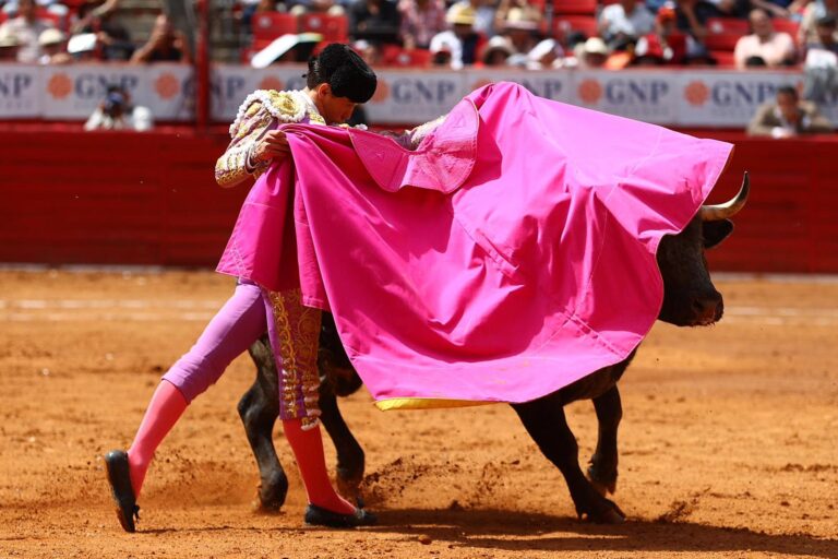 Bruno Aloi conquista La México