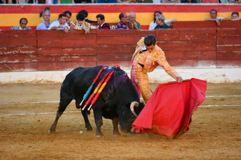 Bruno triunfa en Roa