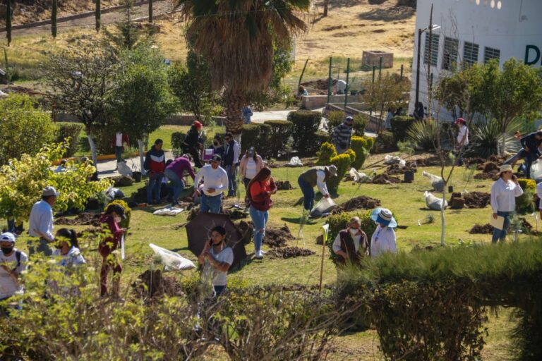 Cierra administración con 36 Bosques Respiro Por Ti