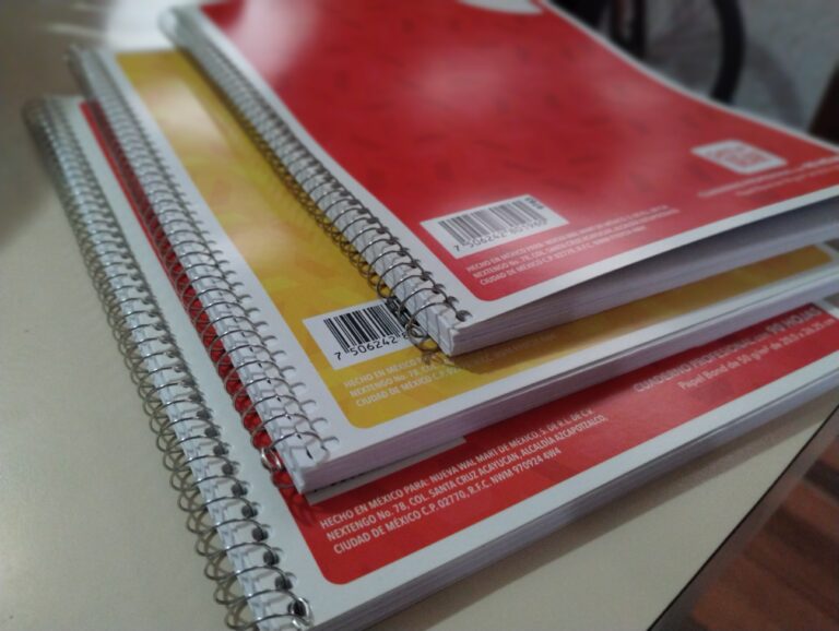 Apoyo en útiles escolares será un derecho