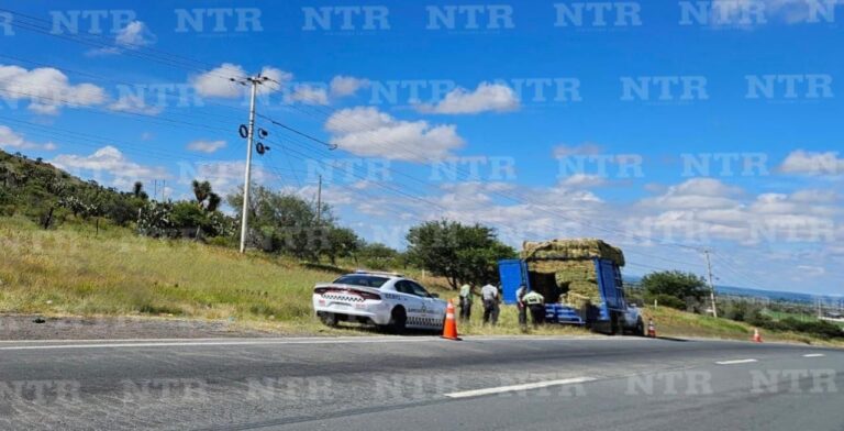 Aseguran a veintidós personas extranjeras que viajaban entre forraje en Fresnillo